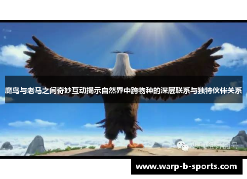 魔鸟与老马之间奇妙互动揭示自然界中跨物种的深层联系与独特伙伴关系 魔鸟与老马之间奇妙互动揭示自然界中跨物种的深层联系与独特伙伴关系