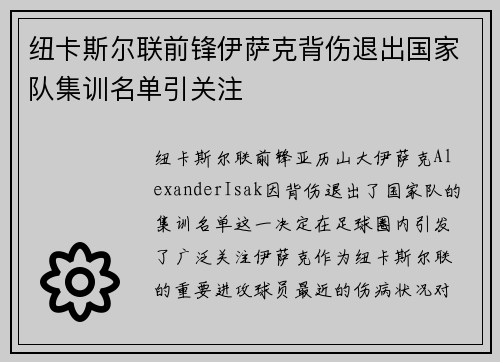 纽卡斯尔联前锋伊萨克背伤退出国家队集训名单引关注